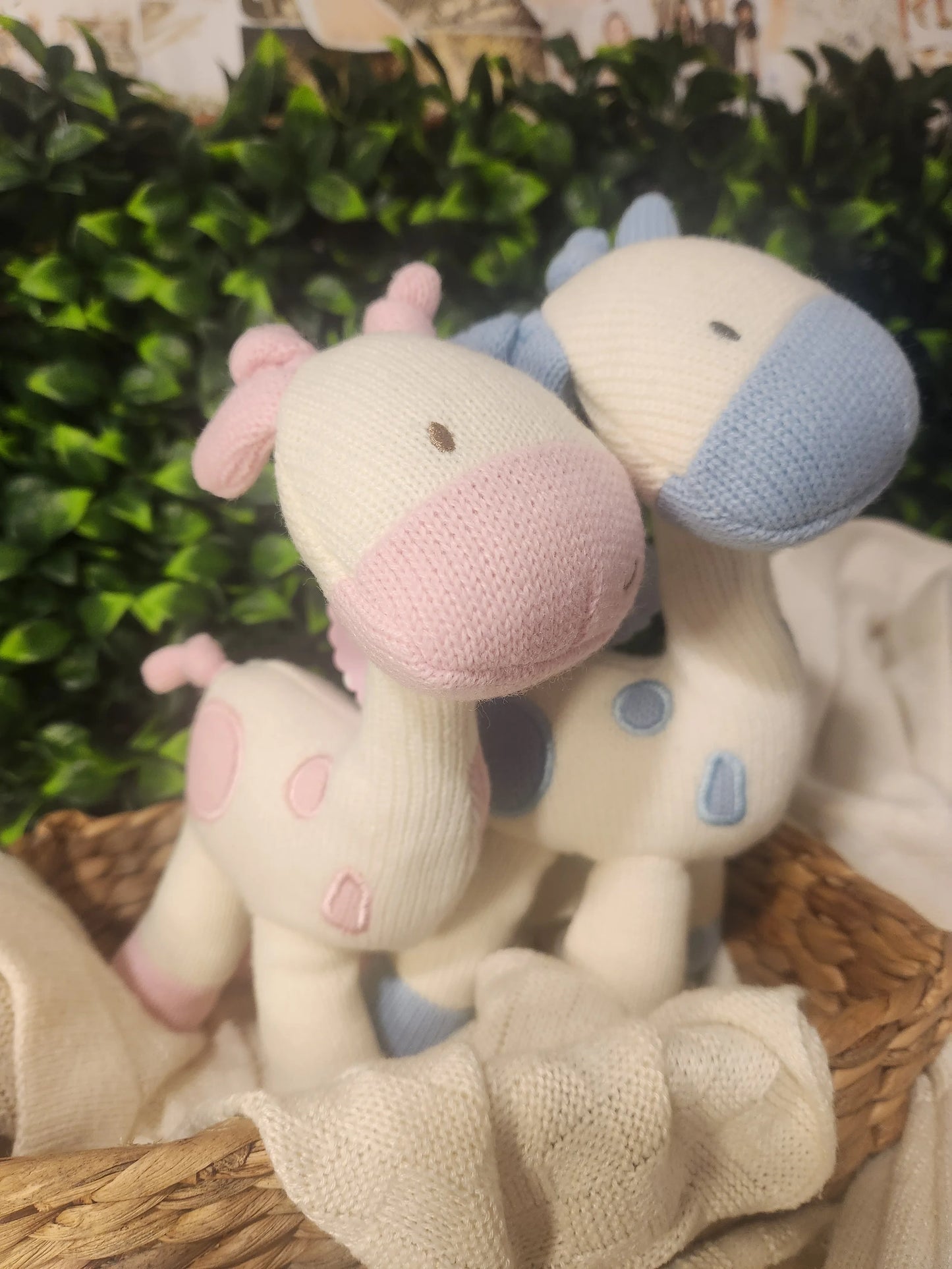 Gerri Giraffe by Lily and George Pink