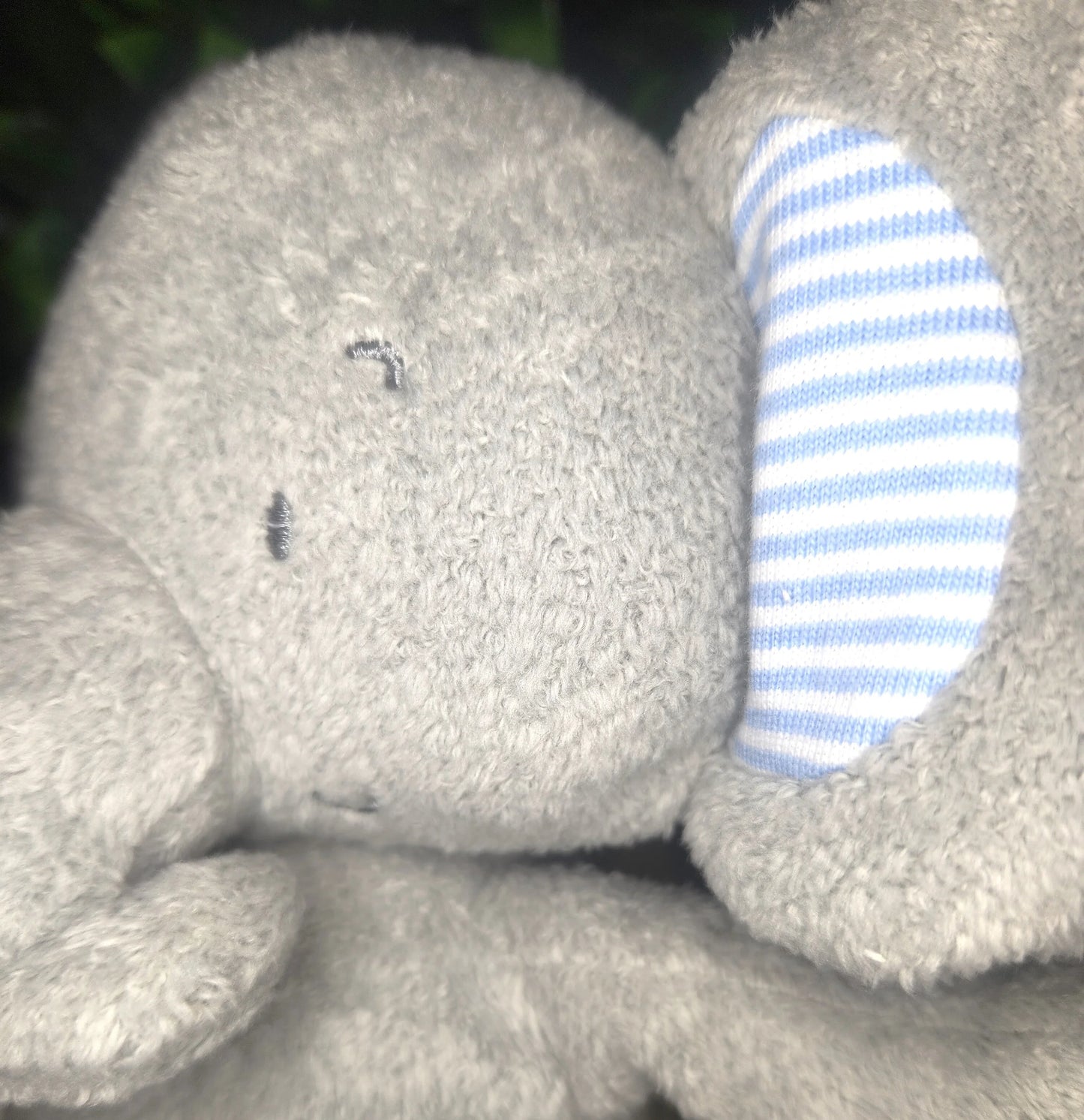 Eli Elephant