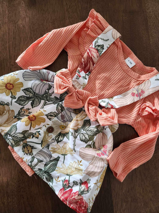Peachy Dress Set