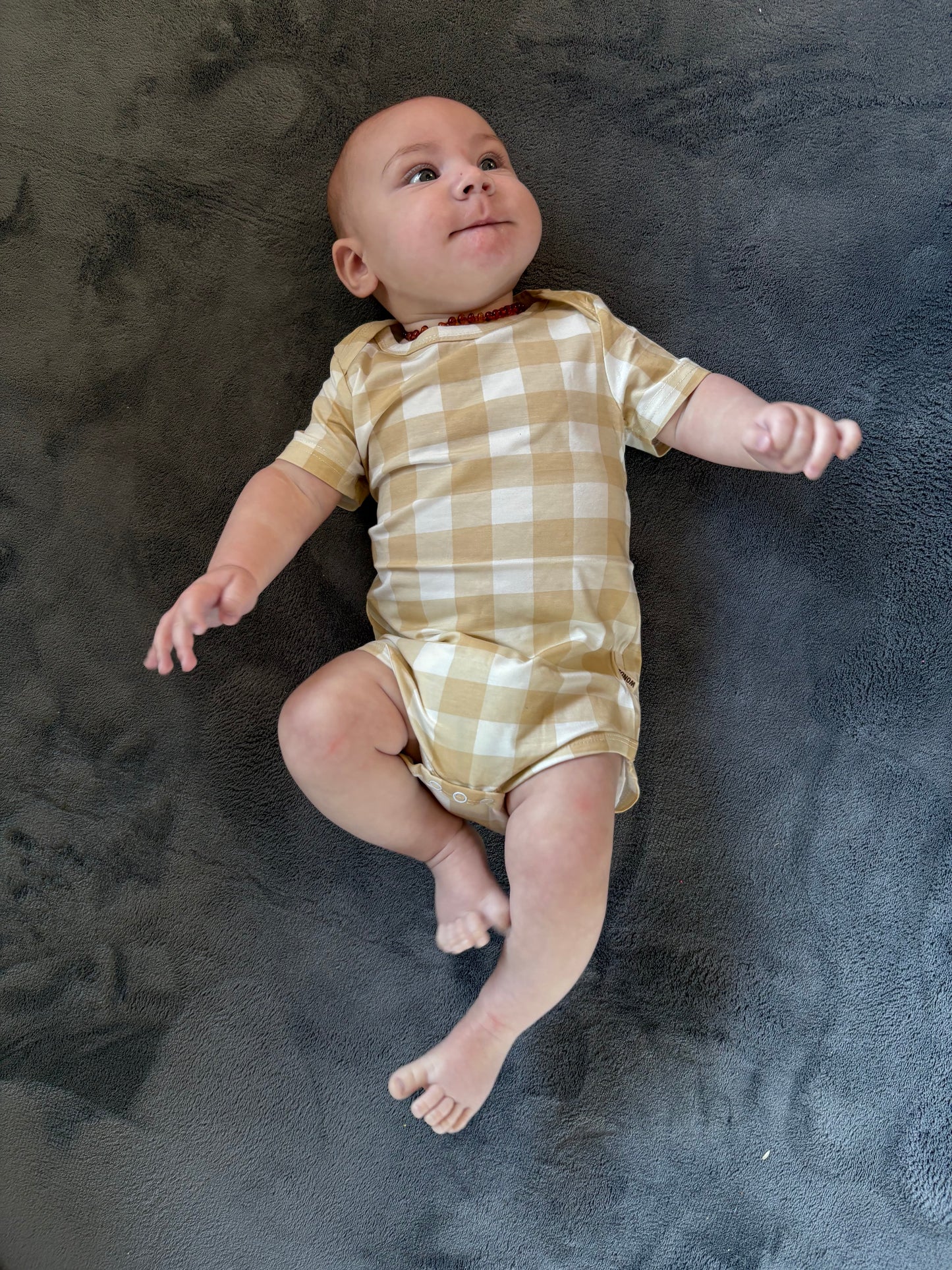 Bamboo Gingham Short Sleeve Onesies